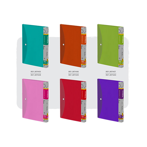 دفتر کلاسوری 100 برگ 2۷5 در 2۲0 میلیمتر استریپ کارتن 12 عددی 300۳۱ (برند الیپون)